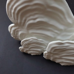 Ostrea Fungus Mushroom Shelf | Floating Shelf With Unique Matte Decor ...