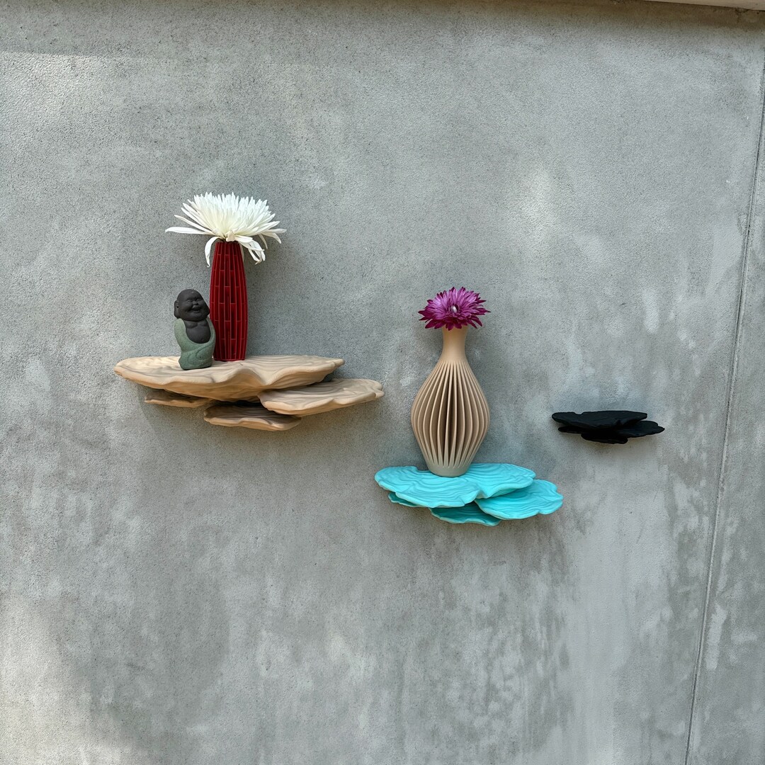 Ostrea Fungus Mushroom Shelf | Floating Shelf With Unique Matte Decor ...