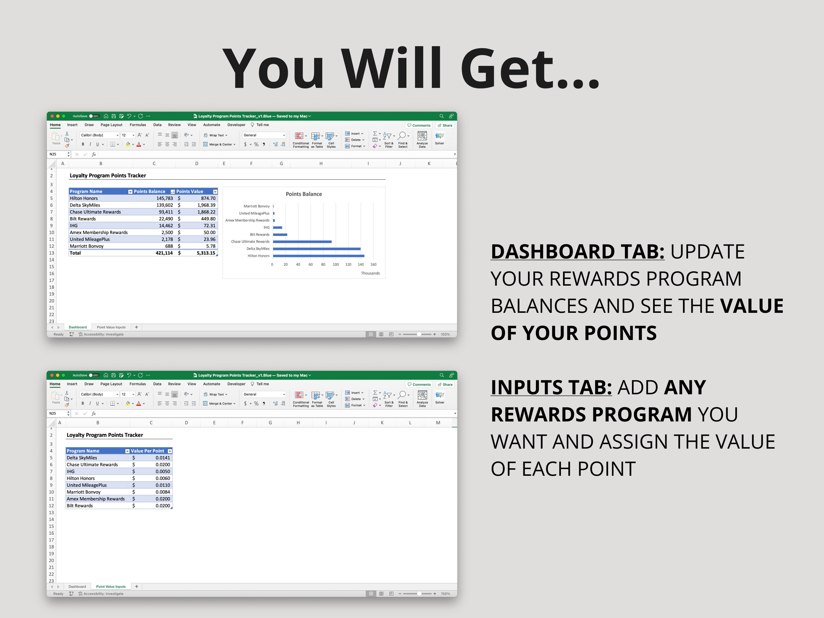 Loyalty Program Points Tracker, Travel Hacking Spreadsheet, Airline ...
