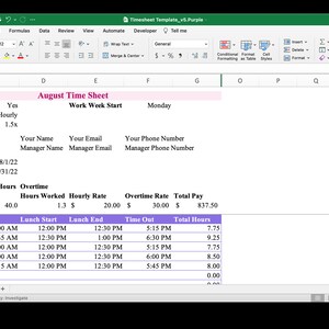 Monthly Timesheet Template for Microsoft Excel & Google Sheets (pink ...