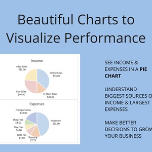 Visualized Expense Data Project Budget Template! Microsoft Excel/google Sheets Compatible ...