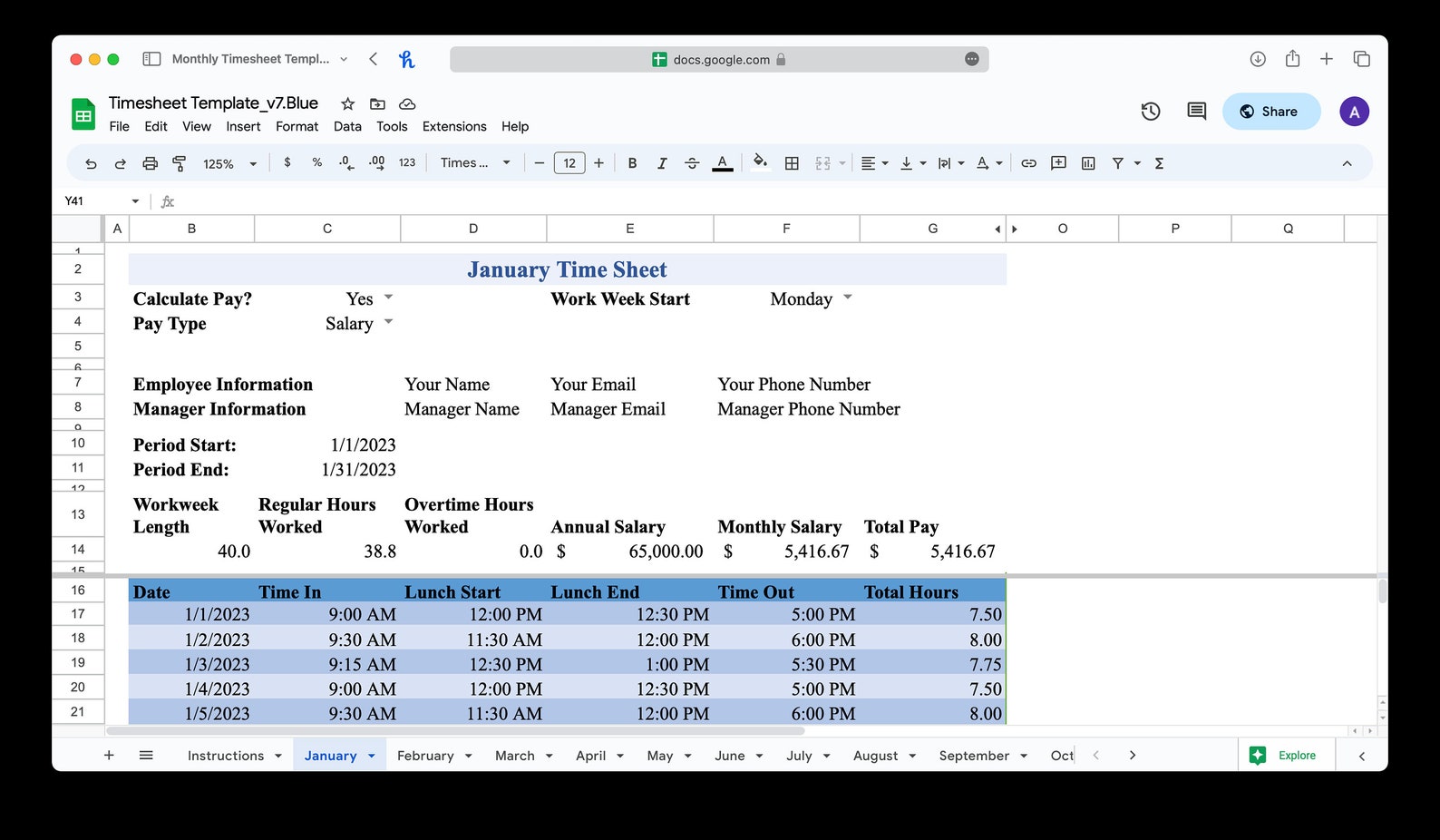 Monthly Timesheet Template for Microsoft Excel & Google Sheets blue 12 ...