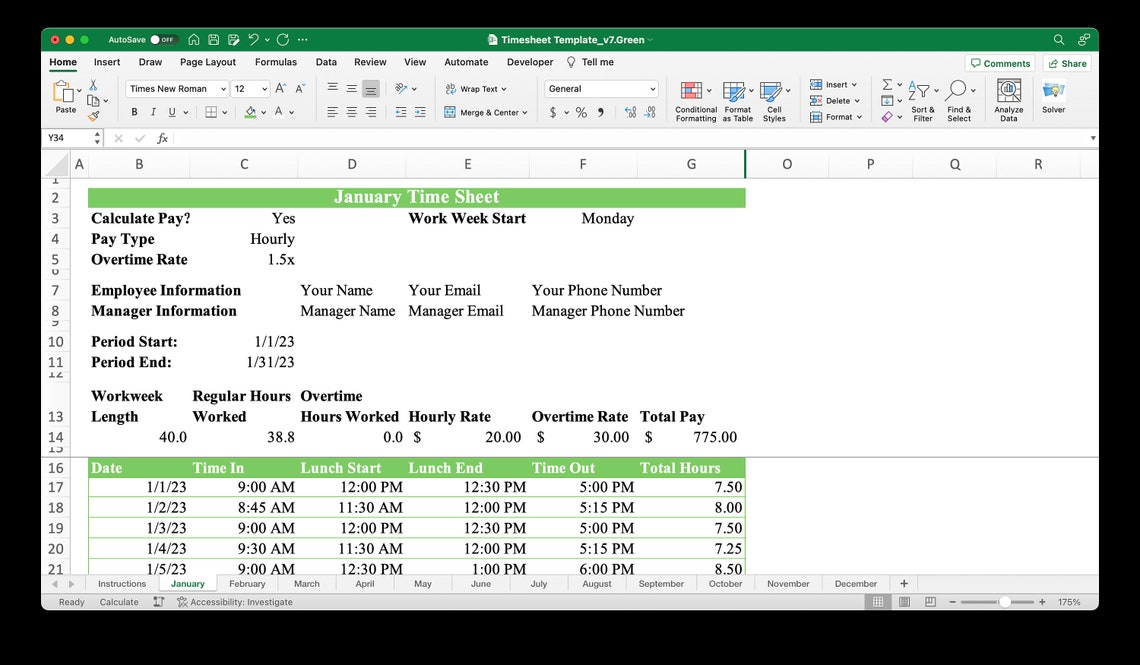 Monthly Timesheet Template for Microsoft Excel & Google Sheets (green ...