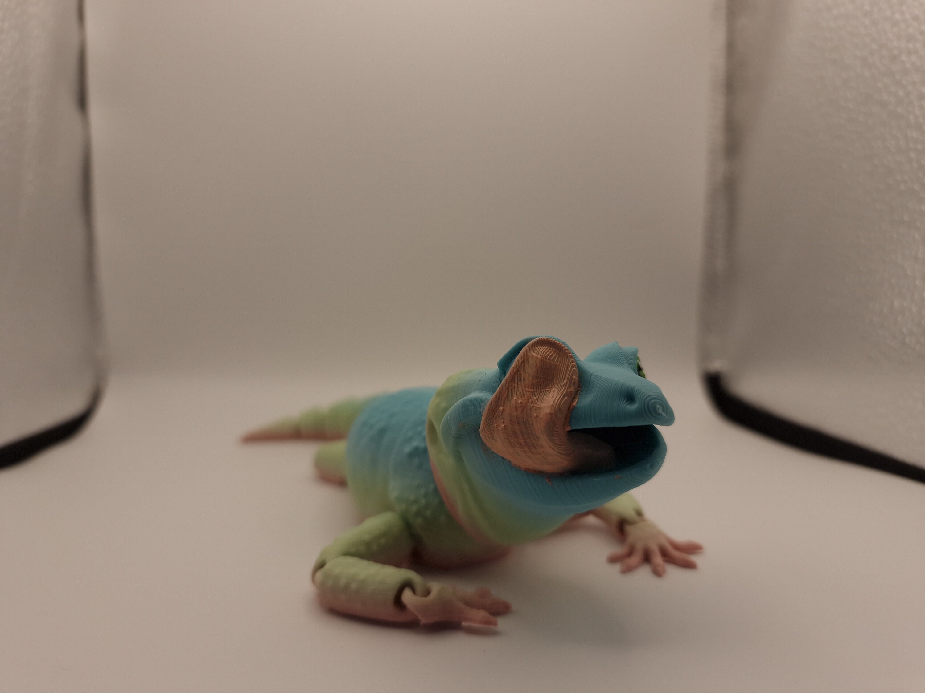 gecko terrarium accessories
