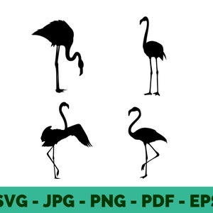 Flamingo SVG Bundle | Pink Flamingo Silhouettes | Summer Vibes Animal Designs | Cricut Cut Files & PNG | Tropical Cricut SVG