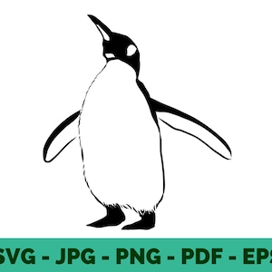 Penguin SVG | Cute Penguin Clipart & Animal Silhouette for T-Shirt Printing Cricut | Vector Instant Download