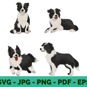 Collie Dog Clipart | Collie Mom & Dad | Cute Collie T-Shirt Sublimation Design