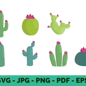 succulent and cactus svg svg cactus bundle succulent cactus svg southwest cactus svg cartoon style