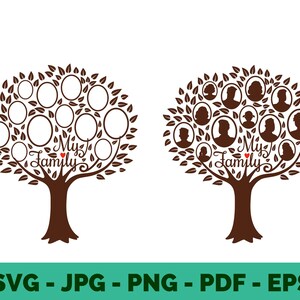 Family Tree SVG | Genealogy and Heritage Clipart | Family Vector Design for Cricut File