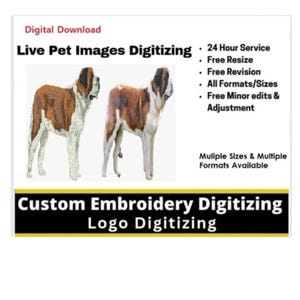 Saint Bernard Dog Embroidery Design: Custom Machine Pattern (Download)