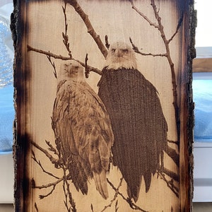 Eagle Country