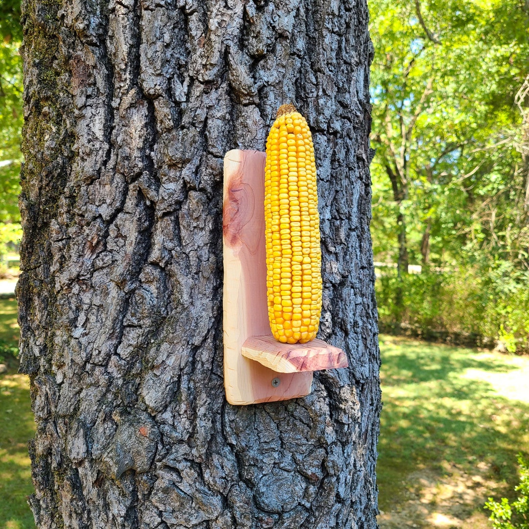 Set of 2 Cedar Corn Cob Squirrel Feeders With Carved Edge Designs Etsy
