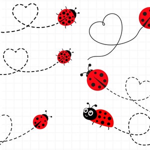 Chemin de coccinelle SVG\ Fichiers de découpe de coccinelle\ Fichiers de découpe de contour\ Clipart de coccinelle\ Coccinelle PNG\ Bundle de coccinelle SVG lignes pointillées Silhouette vectorielle