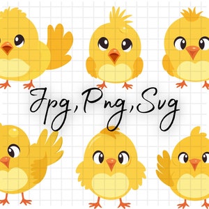 Chicken svg bundlehand drawn\ hen svg\ rooster svg\chicken svg funny\ crazy chicken lady svg\chicken whisperer svg\ chicken clipart