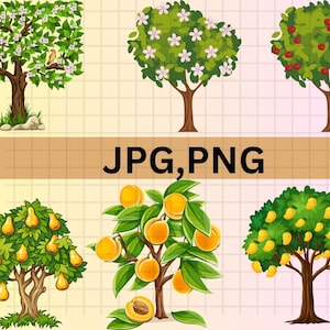 Clipart de árvores frutíferas de jardim \ Pacote de imagens de plantas agrícolas \ Arte country de verão e outono \ Fundo transparente de árvores frutíferas png \ Uso comercial gratuito