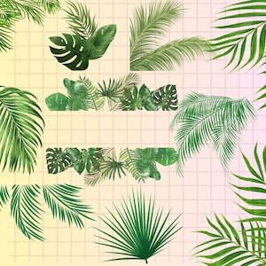 Aquarell Tropische Blätter PNG Clipart - Blätter PNG - Dschungelblätter PNG - Tropische Party Palme - Monstera Clipart - Grün kommerzielle Nutzung