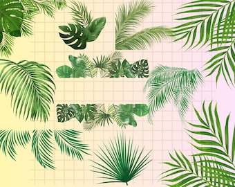 Watercolor Tropical Leaves PNG Clipart \Leaves png\ Jungle Leaves PNG\ Tropical Party Palm Tree\ Monstera Clipart\ Greenery Commercial Use