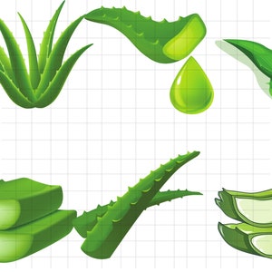 Aloe Vera SVG Bundle\ SVG Files for Cricut\ Plant Svg\ Medical Plant SVG\ Plant Cut File\ Instant Download\ Garden Svg\ Plant Lover\ Vectors