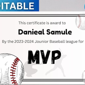 Editable Baseball Award Certificate Bundle\ Team Party Canva Template Bundle\ Printable\ End of Season Baseball Awards\ T-Ball Participation