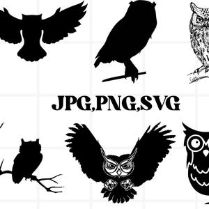 Owl Svg\ Owl SVG\ Owl cut fil\ Animal Face svg\ Cute Owl Svg\ Owl Vector\ Owl png\ Owl Svg File for Cricut and Silhouette