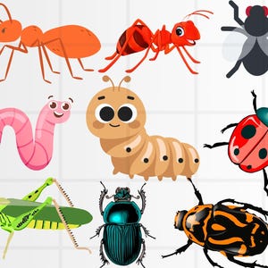 Cute insects svg cut file for Cricut\ Silhouette and clip art