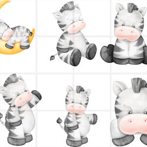 Watercolor Baby zebra clipart bundle\ cute zebra clipart\ little zebra\ baby zebra clipart\ Digital Download