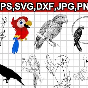 Parrot SVG Bundle - Parrot PNG Bundle - Parrot Clipart - Parrot SVG Cut Files for Cricut - Parrot Silhouette - Parrot Head Svg - Parrot Bird