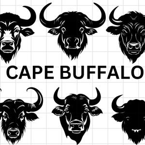 Cape Buffalo Head Design\ svg png\ grafika wektorowa plik cięty laserowo clipart\ natychmiastowe pobieranie cyfrowe