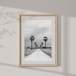 Schwarz-weiße Digitalfotografie einer Landstraße mit Palmen. Kommerzielle und/oder persönliche Nutzung. Kunstfotografie. Sofortdownload