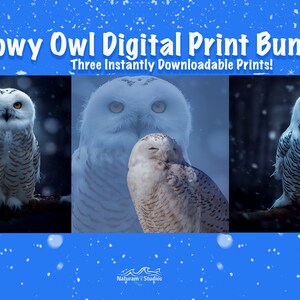 Printable Snowy Owl Digital Art Print Bundle | Blended Art | Digital ...