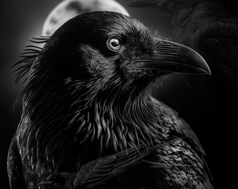 Black and White Raven (Blended Photography + Digital Art) | Printable Instant Digital Download | Square Print | Wall Art | Animal Art