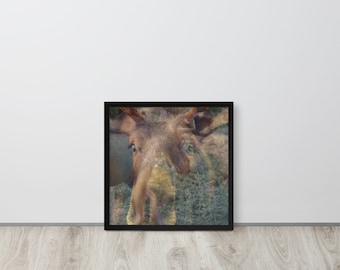 Rocky Mountain Moose (Blended Photography + Digital Art) | Framed Print | Square Print | Animal Art | Nature