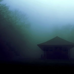 Puede incluir: Una silueta oscura de un pequeño edificio con un techo puntiagudo se alza en un bosque brumoso. La niebla es espesa y oscurece los detalles del edificio y los árboles circundantes.