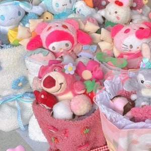 Plush Bouquets with cute Kawaii fluffy toys handmade for graduation for her for birthday long lasting bouquets