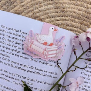 Marque-page magnétique oie lectrice | Cadeau lecteur | Accessoire livre | Book Lover Gift | bookmark gift