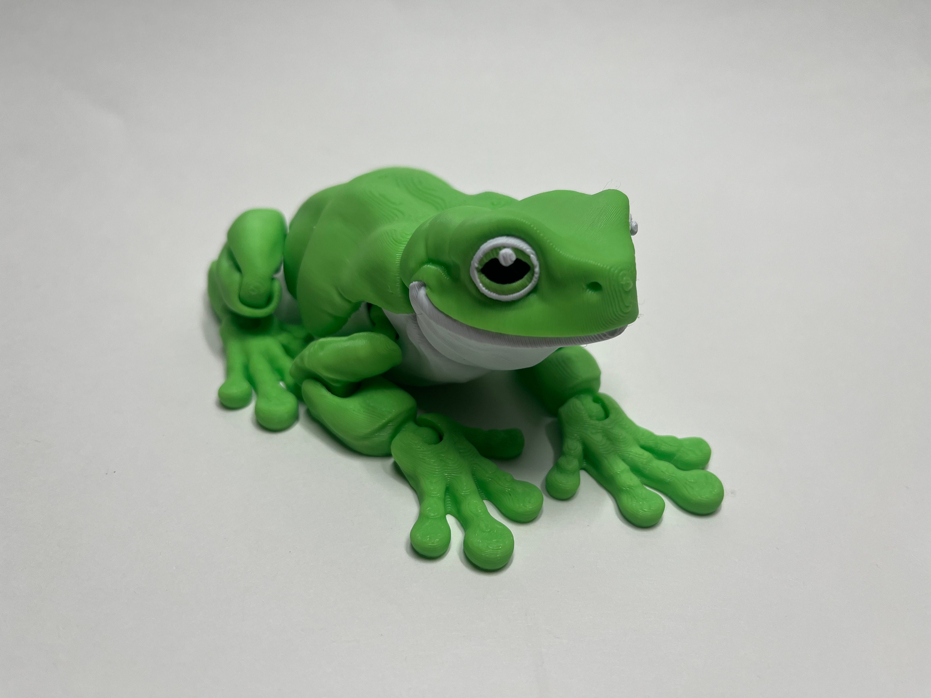 White's Tree Frog Articulated 3D Printed Fidget Toy Stress Toy 