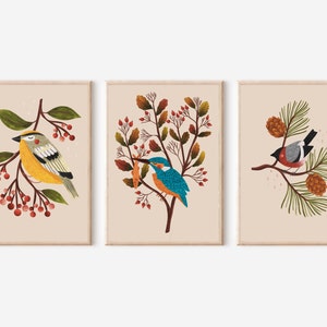 Cartoline di uccelli, Set di cartoline, Set di carte, Pacchetto di carte, Pacchetti di cartoline, Set di tre cartoline, Cartolina illustrata