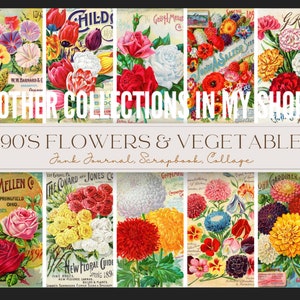 Victorian colourful flowers seed packet designs, vintage packaging art