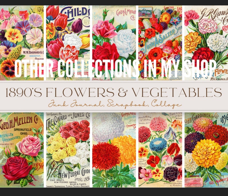 Victorian colourful flowers seed packet designs, vintage packaging art