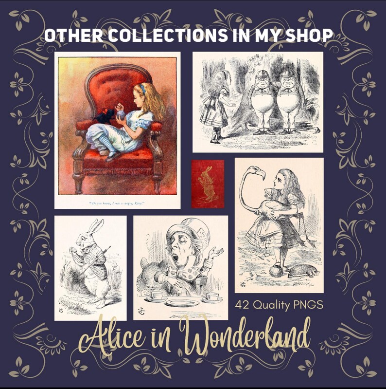 Bundel vintage sprookjesillustraties: antieke boekillustraties (digitale download) afbeelding 18