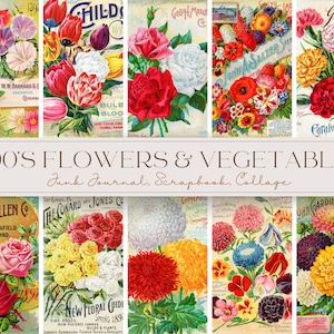 Paquete de imágenes prediseñadas de flores vintage Imágenes de paquetes de semillas victorianas Imágenes prediseñadas de flores