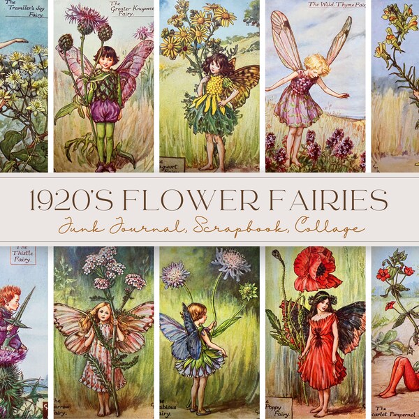 Flower Fairies Digital Download Cicely Mary Barker Fairy Art