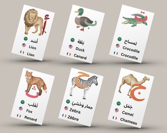 Arabic Alphabet Flashcards: Trilingual Learning Cards (Digital Print)