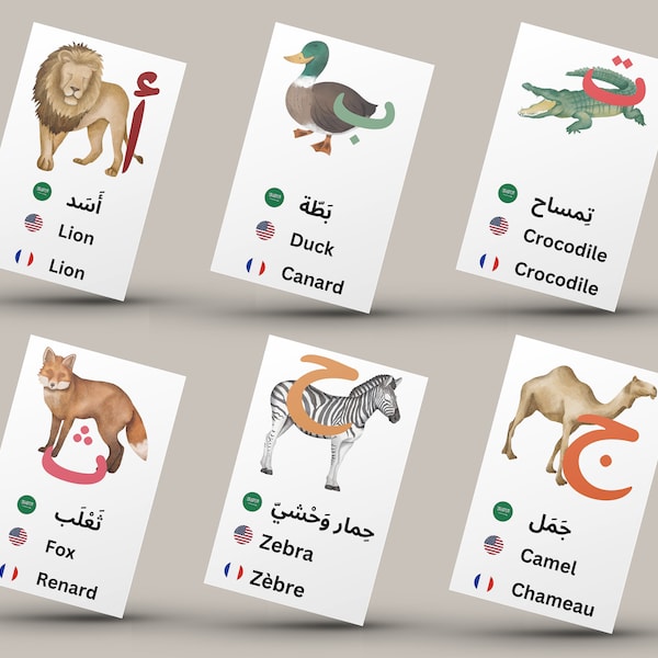 Arabic Alphabet Vocabulary Flashcards in Arabic English French | Arabic Flashcards Digital Print | Montessori Furniture