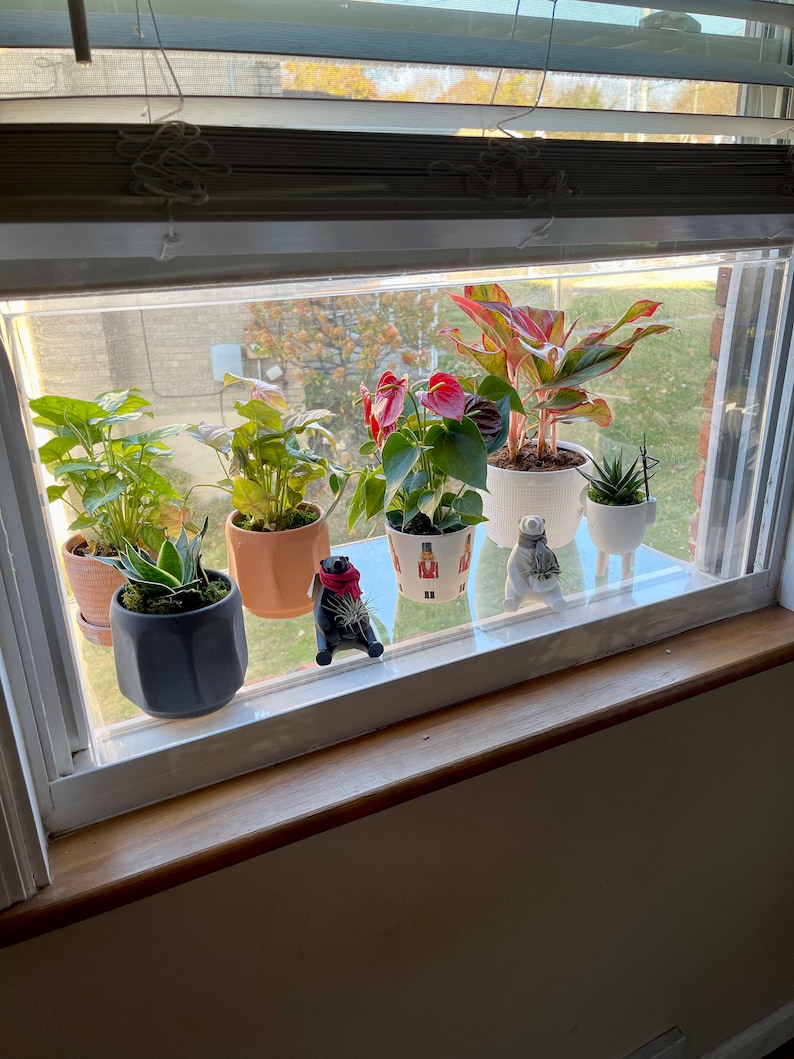 Custom Fit Garden Windows & Cat Perch Etsy