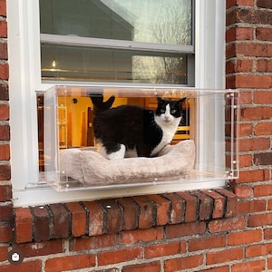 Percha de ventana Catio personalizada para gatos (se adapta a ventanas de 24” a 36”)