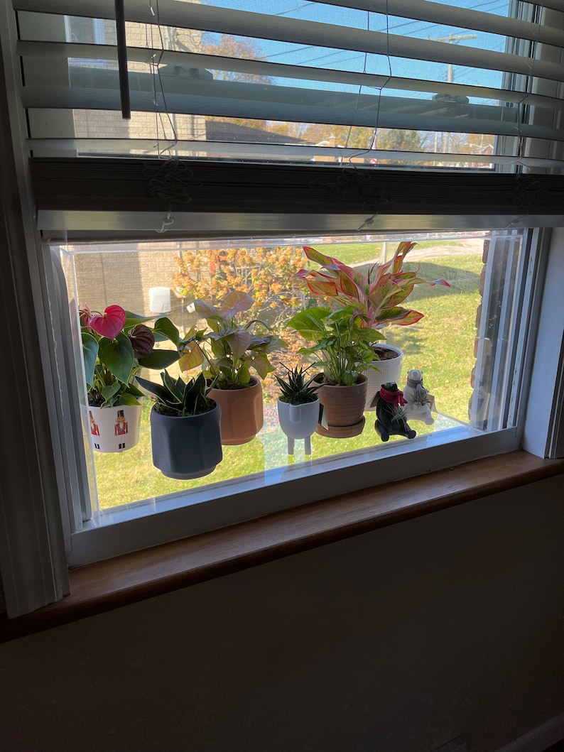 Custom Fit Garden Windows & Cat Perch Etsy