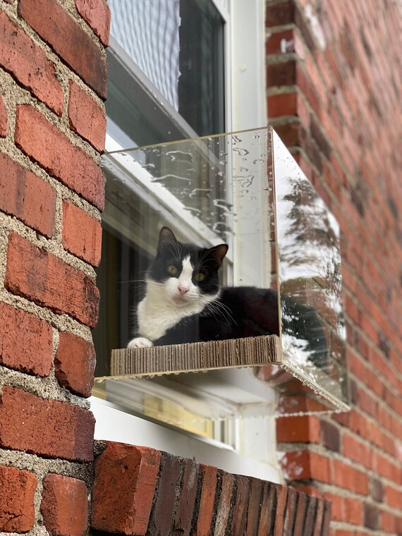 Window catio 2025