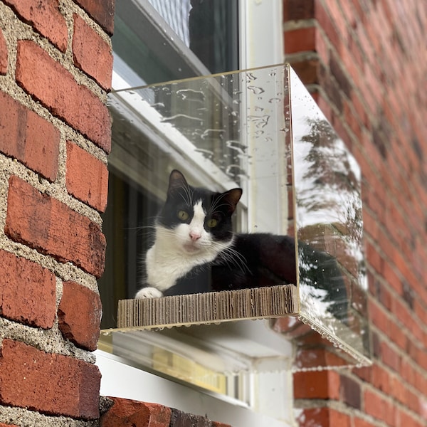 Catio sur mesure pour votre fenêtre (convient aux fenêtres de 24 à 36 pouces)