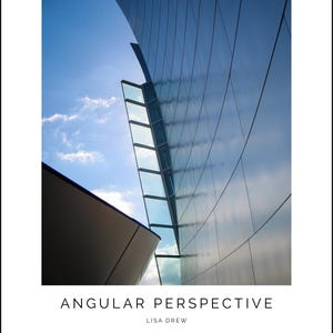 Op de afbeelding: Architectuurfoto van een modern gebouw met een gebogen, reflecterende gevel. Een glazen gedeelte met rechthoekige ramen contrasteert met het gladde, metalen oppervlak. De tekst "ANGULAR PERSPECTIVE" en "LISA DREW" is zichtbaar.